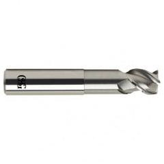 1 Dia. x 6 Overall Length 3-Flute .060 C/R Solid Carbide SE End Mill-Round Shank-Center Cutting-Uncoated - Eagle Tool & Supply