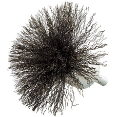 Norton - End Brushes Brush Diameter (Inch): 3 Fill Material: Carbon Steel - Eagle Tool & Supply