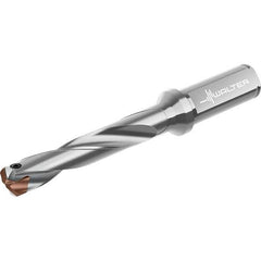 Walter - 30 to 30.99mm Diam, 5xD, 197mm Max Depth, 32mm Shank Diam, 262mm OAL, Replaceable Tip Drill - P6001-D30..R, P6003-D30..R, P6004-D30..R, P6005-D30..R Insert, D4140 Toolholder, Series D4140 - Eagle Tool & Supply