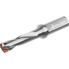 Walter - 25 to 25.99mm Diam, 3xD, 116mm Max Depth, 25mm Shank Diam, 177mm OAL, Replaceable Tip Drill - P6001-D25..R, P6003-D25..R, P6004-D25..R, P6005-D25..R Insert, D4140 Toolholder, Series D4140 - Eagle Tool & Supply