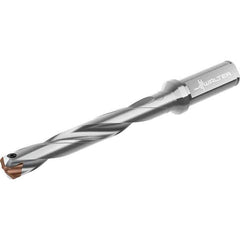 Walter - 28 to 28.99mm Diam, 7xD, 241mm Max Depth, 32mm Shank Diam, 306mm OAL, Replaceable Tip Drill - P6001-D28..R, P6003-D28..R, P6004-D28..R, P6005-D28..R Insert, D4140 Toolholder, Series D4140 - Eagle Tool & Supply