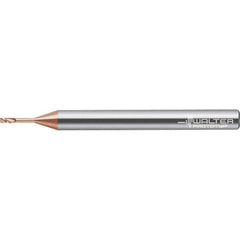 Walter-Prototyp - 1mm, 2 Flute, Single End, Solid Carbide, 0.2mm Corner Radius End Mill - 50mm OAL, 30° Helix, Right Hand Flute, 2mm LOC, Right Hand Cut - Eagle Tool & Supply