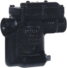 Hoffman Speciality - 2 Port, 1/2" Pipe, Stainless Steel Inverted Bucket Steam Trap - 125 Max psi - Eagle Tool & Supply