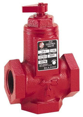 Bell & Gossett - 1-1/2" Pipe, Cast Iron Manually Operated Plumbing Valve - Buna Seal, FNPT - Eagle Tool & Supply
