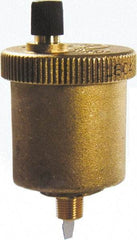 Bell & Gossett - 1/8" Pipe Automatic Air Vent - 150 Max psi, NPTM End Connection - Eagle Tool & Supply