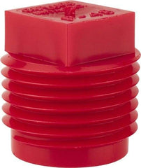 Caplugs - Square Head Plug - 1/2" OD, Polyethylene, Red - Eagle Tool & Supply