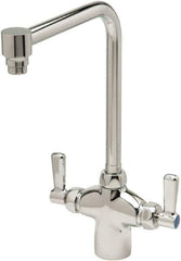 Zurn - Bent Riser, Two Handle, Chrome Plated Single Hole Mount, Laboratory Faucet - Lever Handle - Eagle Tool & Supply