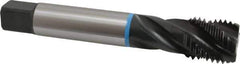 Emuge - 1-1/4 - 7 UNC 4 Flute 3B Modified Bottoming Spiral Flute Tap - Cobalt, Oxide Finish, 7.087" OAL, Right Hand Flute, Right Hand Thread, Series Enorm-VA - Eagle Tool & Supply
