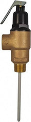 CASH ACME - 3/4" Inlet, 3/4" Outlet, MNPT x MNPT, ASME Safety Relief Valve - 150 Max psi, Bronze, 500000 BTUs - Eagle Tool & Supply