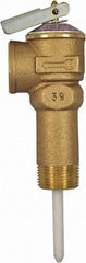 CASH ACME - 3/4" Inlet, 3/4" Outlet, FNPT x MNPT, ASME Safety Relief Valve - 150 Max psi, Bronze, 500000 BTUs - Eagle Tool & Supply