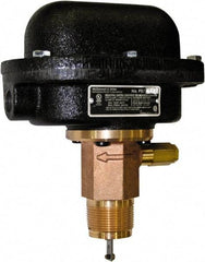 McDonnell & Miller - 300 psi, Brass Housing, Adjustable Paddle Flow Switch - 7.7 Flow Set Point, 35,004 Flow Point cc/min, 4.8 to 998 GPM, 120/240 Voltage, 1-1/4 Inch Thread Size - Eagle Tool & Supply