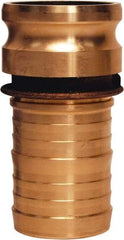 Dixon Valve & Coupling - 2" Brass Cam & Groove Suction & Discharge Hose Male Adapter Hose Shank - Part E, 250 Max psi - Eagle Tool & Supply