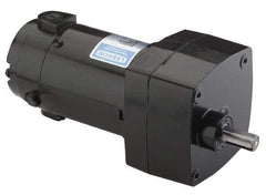 Leeson - 1/15 Max hp, 28 Max RPM, Electric AC DC Motor - 115 V Input, Single Phase, 31 Frame - Eagle Tool & Supply