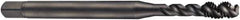 DORMER - M2.5x0.45 Metric Coarse 3 Flute 6H Bottoming Spiral Flute Tap - Cobalt, Oxide Finish, 50mm OAL, Right Hand Flute, Right Hand Thread, Series EX016H - Eagle Tool & Supply