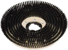 Clarke - 20" Diam Scrubbing Brush - 20" Machine, Black Pad, Polypropylene - Eagle Tool & Supply