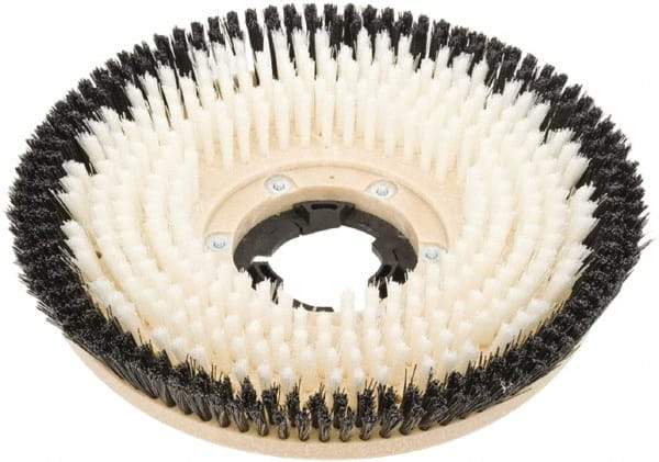 Clarke - 17" Diam Carpet Brush - 17" Machine, Black Pad, Nylon - Eagle Tool & Supply