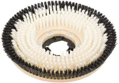 Clarke - 17" Diam Scrubbing Brush - 17" Machine, Black Pad, Nylon - Eagle Tool & Supply