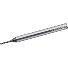 Walter-Prototyp - 1.2mm, 2 Flute, Single End, Solid Carbide, 0.12mm Corner Radius End Mill - 65mm OAL, 30° Helix, Right Hand Flute, 1.2mm LOC, Right Hand Cut - Eagle Tool & Supply