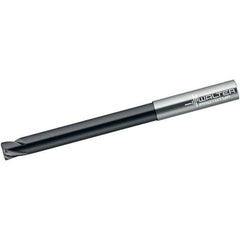 Walter-Prototyp - 6mm, 4 Flute, Single End, Solid Carbide, 0.5mm Corner Radius End Mill - 100mm OAL, 30° Helix, Right Hand Flute, 6mm LOC, Right Hand Cut, 60mm Extended Reach - Eagle Tool & Supply