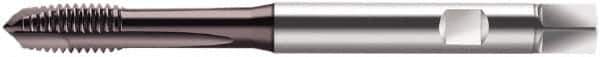 Walter-Prototyp - M10x1.50 Metric, 3 Flute, Hardlube Finish, Cobalt Spiral Point Tap - Plug Chamfer, Right Hand Thread, 100mm OAL, 15mm Thread Length, 10mm Shank Diam, 6HX Class of Fit, Series S2021302 - Exact Industrial Supply
