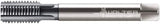 Walter-Prototyp - M22x2.50 Metric 6HX 4 Flute TiCN Finish Powdered Metal Straight Flute Machine Tap - Modified Bottoming, Right Hand Thread, 140mm OAL, 30mm Thread Length, Oversize - Eagle Tool & Supply