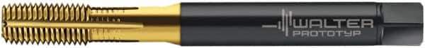 Walter-Prototyp - 1/4-28 UNF 2B Modified Bottoming Thread Forming Tap - Cobalt, TiN Finish, 80.01mm OAL, 15.01mm Thread Length, Right Hand Thread, Series ACP2361745 - Eagle Tool & Supply