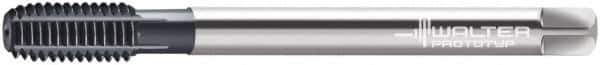 Walter-Prototyp - 3/8-19 BSPP, TiCN Coated, Cobalt, Thread Forming Pipe Tap - 0.8268 Inch Thread Length, 0.4724 Inch Shank Diameter, 0.3543 Inch Square Size, Series D7466706 - Eagle Tool & Supply