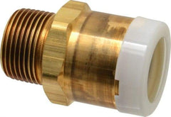 Watts - 1" Outside Diam, 1 NPT, Brass Push-to-Connect Tube Male Connector - Tube to Male NPT Connection, EPDM O-Ring - Eagle Tool & Supply
