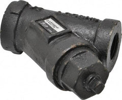 Legend Valve - 1/2" Pipe, FNPT Ends, Cast Iron Y-Strainer - 500 psi WOG Rating, 250 psi WSP Rating - Eagle Tool & Supply