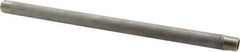 Merit Brass - Schedule 40, 3/8" Pipe x 12" Long, Grade 304/304L Stainless Steel Pipe Nipple - Welded & Threaded - Eagle Tool & Supply