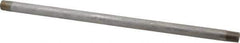 Merit Brass - Schedule 40, 1/4" Pipe x 12" Long, Grade 316/316L Stainless Steel Pipe Nipple - Welded & Threaded - Eagle Tool & Supply