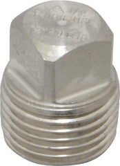 Merit Brass - 1/2" Grade 316/316L Stainless Steel Pipe Square Head Plug - MNPT End Connections, 3,000 psi - Eagle Tool & Supply