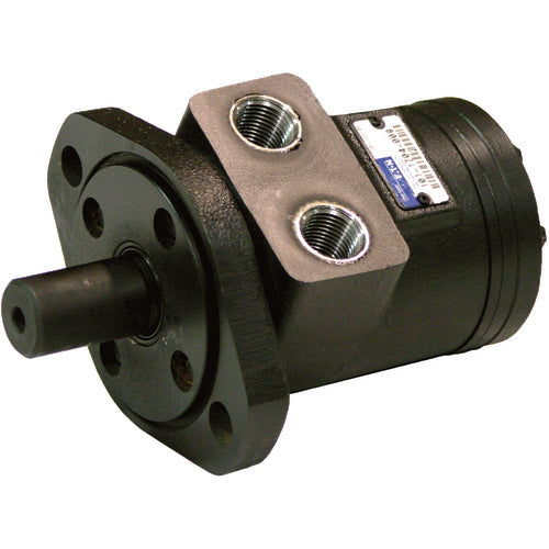 Motor, Hydraulic 2.2 Cu in