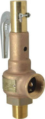 Conbraco - 1" Inlet, 1-1/4" Outlet, High Pressure Safety Relief Valve - 125 Max psi, Bronze, 2,189 Lb per Hour - Eagle Tool & Supply