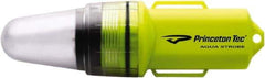 Princeton Tec - White LED Bulb, 100 Lumens, Industrial/Tactical Flashlight - Neon Yellow Plastic Body, 1 AA Alkaline Battery Included - Eagle Tool & Supply