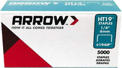 Arrow - 3/8" Wide High Carbon Steel Light-Duty Staples - 1/4" Leg Length - Eagle Tool & Supply