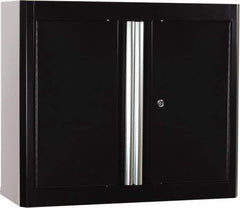 Sandusky Lee - 2 Shelf Wall Storage Cabinet - Steel, 30" Wide x 12" Deep x 36" High, Black - Eagle Tool & Supply