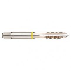 M20x2.5 6H 4-Flute Cobalt Yellow Ring Spiral Point Plug Tap-Bright - Eagle Tool & Supply