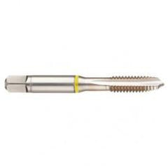 40671 2B 3-Flute Cobalt Yellow Ring Spiral Point Plug Tap-Bright - Eagle Tool & Supply