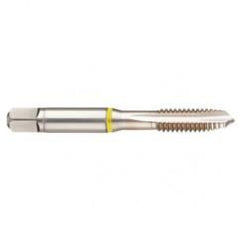 40241 2B 4-Flute Cobalt Yellow Ring Spiral Point Plug Tap-Bright - Eagle Tool & Supply