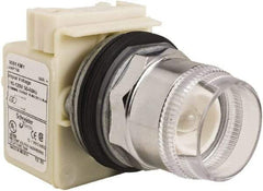 Schneider Electric - 30mm Mount Hole, Extended Straight, Pushbutton Switch Only - Round, Momentary (MO), Weatherproof, Dust and Oil Resistant - Eagle Tool & Supply