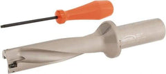 Hertel - 4-3/4" Max Drill Depth, 4xD, 1-3/16" Diam, Indexable Insert Drill - 2 Inserts, 1-1/4" Shank Diam, Straight Shank - Eagle Tool & Supply