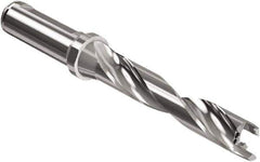 Seco - Crownloc Plus Series, 17 Head Connection, 5xD, 20mm Shank Diam, Drill Body - 118.6mm Body to Flange Length, SD405 Toolholder, 17mm Nose Diam, 4" Flute Length - Eagle Tool & Supply