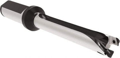 Allied Machine and Engineering - Series 14, 14 to 14.99mm Diam, 20mm Diam Straight Shank with Flange, Straight Flute Spade Drill - 149.9mm Max Depth, 229.8mm OAL, Long Length, Through Coolant - Eagle Tool & Supply