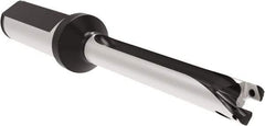 Allied Machine and Engineering - Series 12, 12 to 12.99mm Diam, 20mm Diam Straight Shank with Flange, Straight Flute Spade Drill - 129.9mm Max Depth, 209.7mm OAL, Long Length, Through Coolant - Eagle Tool & Supply
