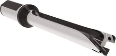 Allied Machine and Engineering - Series 20, 20 to 21.99mm Diam, 25mm Diam Straight Shank with Flange, Straight Flute Spade Drill - 153.9mm Max Depth, 246.9mm OAL, Standard Length, Through Coolant - Eagle Tool & Supply