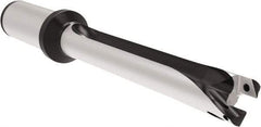 Allied Machine and Engineering - Series 20, 20 to 21.99mm Diam, 1" Diam Straight Shank with Flange, Straight Flute Spade Drill - 8-21/32" Max Depth, 12.4" OAL, Long Length, Through Coolant - Eagle Tool & Supply