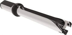Allied Machine and Engineering - Series 17, 17 to 17.99mm Diam, 20mm Diam Straight Shank with Flange, Straight Flute Spade Drill - 125.9mm Max Depth, 208.9mm OAL, Standard Length, Through Coolant - Eagle Tool & Supply