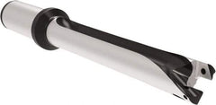 Allied Machine and Engineering - Series 22, 22 to 23.99mm Diam, 25mm Diam Straight Shank with Flange, Straight Flute Spade Drill - 167.9mm Max Depth, 260.2mm OAL, Standard Length, Through Coolant - Eagle Tool & Supply