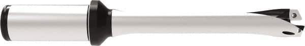 Allied Machine and Engineering - Series 20, 20 to 21.99mm Diam, 1" Diam Straight Shank with Flange, Straight Flute Spade Drill - 4-11/32" Max Depth, 8-1/16" OAL, Standard Length, Through Coolant - Eagle Tool & Supply